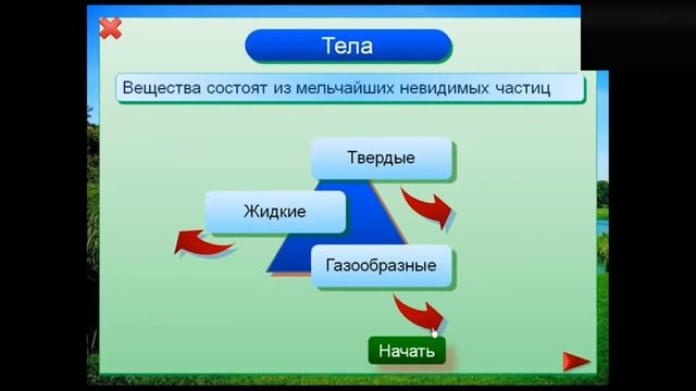 Естествознание. Тема: «Тело. Вещество»