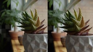 Canon 17-55mm f2.8 VS Nikon 17-55 2.8 on BMPCC6K Review ?