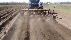 1 я прополка картофеля,КОН 2 8,Т 40,Ежи в деле