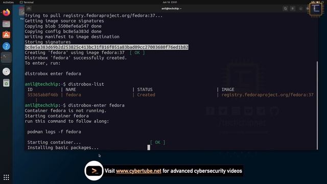 Run Multiple Linux OS Inside the Terminal with GUI Tools [Hindi] смотреть онлайн