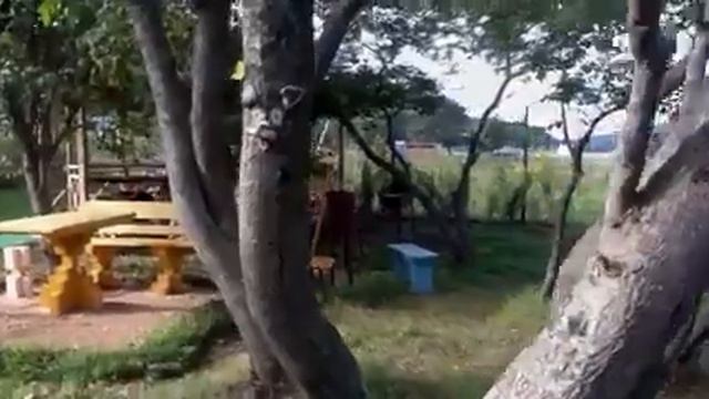 База отдыха "Волна" смотреть онлайн