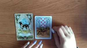 Значение карт Ленорман. Значение карты Собака.