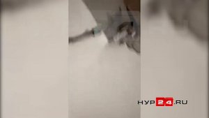 В Надыме в аварийном доме трещины заделали монтажной пеной