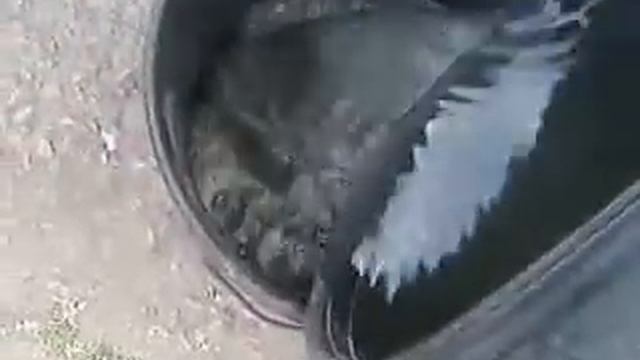 Удобрение куриный помет смотреть онлайн