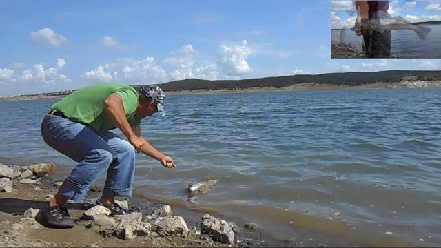 Рыбалка-Щука-Судак-Триллер. смотреть онлайн