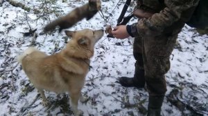 Куница в КА-2