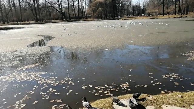 Покупки в Ашан и Ближайшие планы по саморазвитию смотреть онлайн