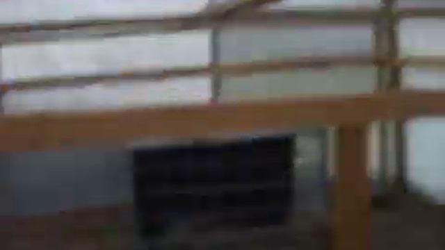 Домашние птицы перепела . My pets quail. перепел домашний смотреть онлайн