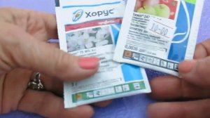 ОПРЫСКИВАНИЕ ДЕРЕВЬЕВ- -ВТОРОЕ весеннее орыскивание