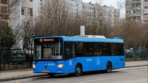 Автобус 23 (СТАРОЕ)