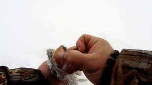 ВЫСТАВИЛИ ЖЕРЛИЦЫ В ГЛУХОЗИМЬЕ И СРАБОТКИ ПОПЁРЛИ! ЛОВЛЯ ЩУКИ НА ЖЕРЛИЦЫ ЗИМОЙ | ЗИМНЯЯ РЫБАЛКА 202