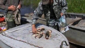 Рыбалка в Разнежье июнь 2013