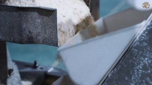 Производство хрустящего жареного лука «ОРЕХПРОДУКТ»