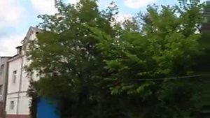 Заглядывая в сады. Улица Александра Матросова