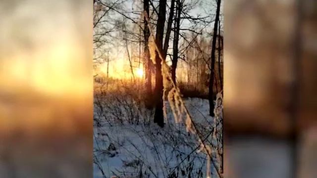 Лосиный остров: Рассвет на Яузских болотах смотреть онлайн