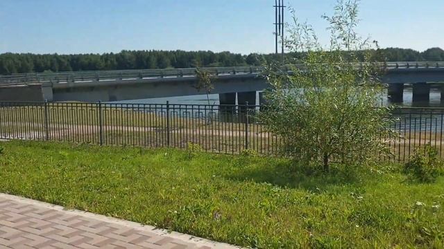 Пергала или Шпалера