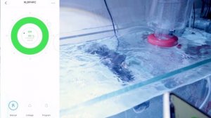 SCP 70M Jebao помпа течения с WiFi. Обзор, настройка, установка