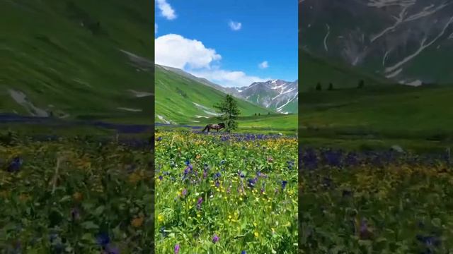 #стихи запрос во вселенную читает автор Марина