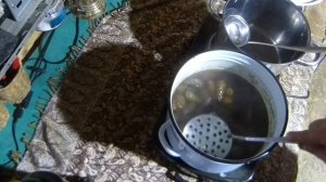 Варенье из сосновых шишек