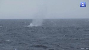 Корабли Черноморского флота отработали уничтожение дронов врага