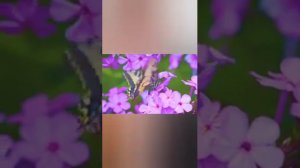 У женщины было много мужчин, как понять? #опрос