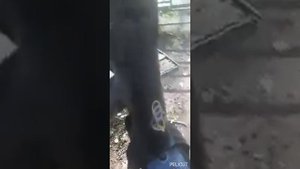 Kugoo c1 замена подшипника рулевой колонки