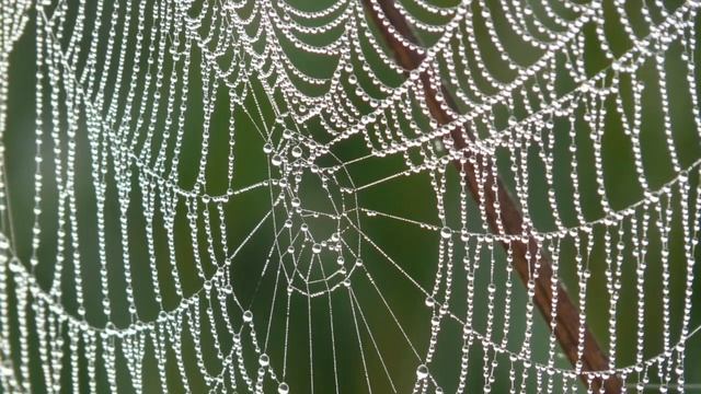 Ms. Bits N' Bobs and Her Magical Cloak Fairy Tales - THE ITSY BITSY SPIDER смотреть онлайн