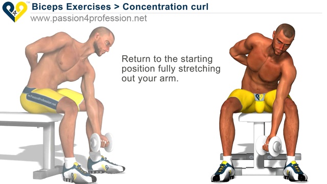 Концентрированные  сгибания - Упражнение на бицепс(720p) смотреть онлайн