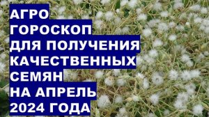 Агрогороскоп для получения качественных семян на апрель 2024Agrohoroscope for obtaining quality seed