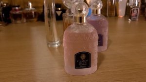 5 Violet Fragrances 💜 | Powdery Perfumes