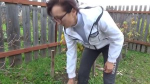 Делаю опору для смородины