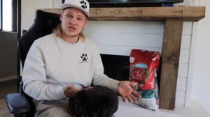 What Should You Feed A Rottweiler Puppy?