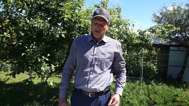 Удобрение (подкормка) сада