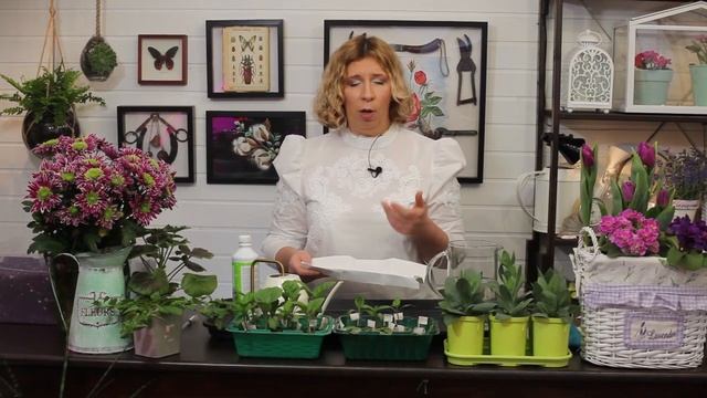 Обзор от Марины Рыкалиной: уход за рассадой с ЭМ смотреть онлайн