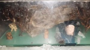 Как сделать светильник из эпоксидной смолы( лесная сказка в эпоксидки)/ диорама /diorama /