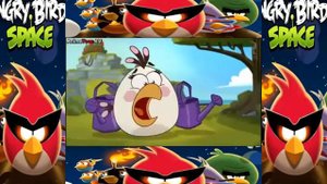 Angry Birds Toon Episode 48 Shrub it in