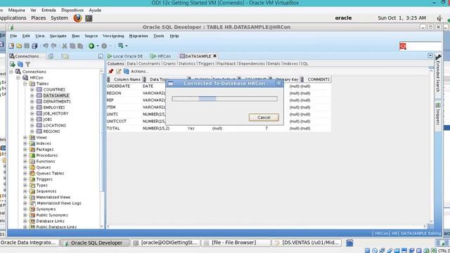 ODI - Carga de datos archivo txt a una Tabla Plana смотреть онлайн