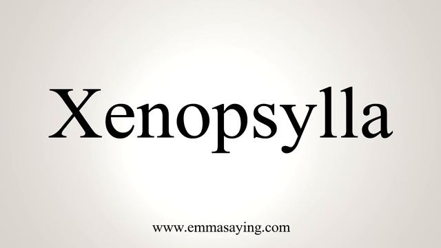 How To Say Xenopsylla смотреть онлайн