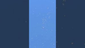 Мощь 🔥 Оригинальные иранские голуби, Иран | Original Iranian highflyer pigeons | کبوترهای ایران