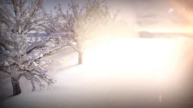 Continental WinterContact TS 860: Промо-видео смотреть онлайн