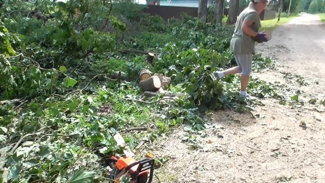 ЗНАТНЫЙ УРОЖАЙ, ДРОВА БЕСПЛАТНО, МОТОБЛОК и ДЕРЕВНЯ. смотреть онлайн