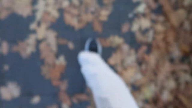 Teedrogen-Praktikum, Lernen & die ersten Vorlesungen🤓 || Pharmazie 4. Semester смотреть онлайн