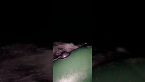 Мотор от тримера на лодку аква 280 с килем.
