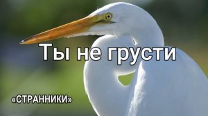 Ты не грусти.Христианское пение. «Странники» г.Воронеж МСЦ ЕХБ