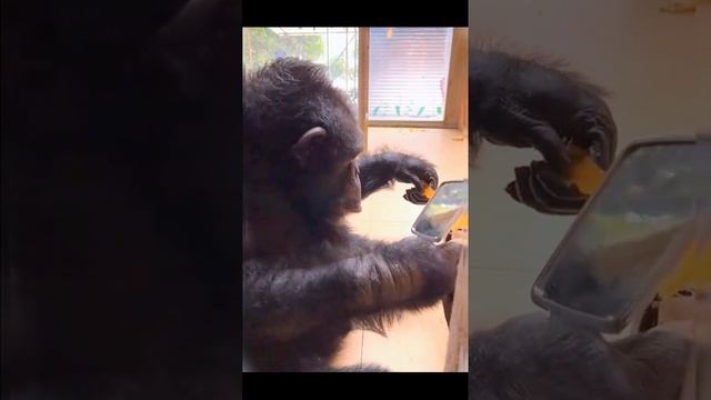 1000002149.mp4 смотреть онлайн