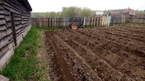 Китайский мини трактор Вайтово ту 244 в деле, с двигателем от мотоблока, автомат - сцеплением.