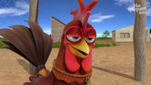 Петушок Пинто |  На ферме у Зенона