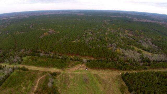 Milliken Forestry - Leeds-Sandy River Tract - Chester County, SC смотреть онлайн