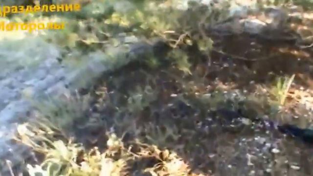 Вспоминая Славянск.. Моторола и минометчики.. смотреть онлайн