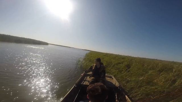 Тест новой лодки болотохода с мотором 18 л.с